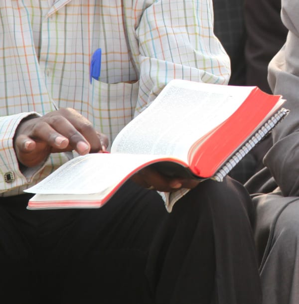 A sower went out to sow his seed.